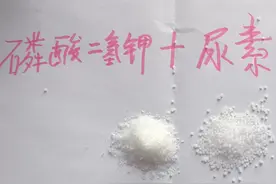 尿素+磷酸二氢钾为黄金组合，重点还是“浓度”，看此文就明白了图片