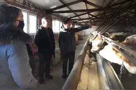 达日罕乌拉苏木：邀巴特今生直播间团队实地考察观摩图片