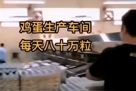 激素鸡蛋危害大，不仅有毒还致癌？提醒：5种鸡蛋尽量少吃或不吃图片