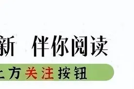 双胞胎离奇失踪，父亲寻子28载，DNA揭秘：同校校友竟是亲兄弟图片