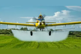 单产每亩过千斤，美国水稻高产背后的科技力量图片