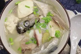 春天，经常昏昏欲睡，可以试试这一碗鱼头汤图片