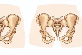 韵味妈妈丨骨盆修复--女人第二次绽放图片