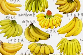 最好吃的香蕉种类有哪些，如何区分香蕉的种类与口感图片