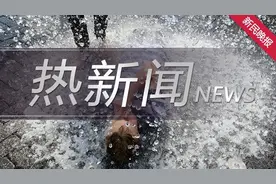 《夏日宠物降温指南》：狗睡冰垫降温，猫躺“冷锅”度暑图片