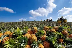 深刻变革正从中国大陆最南端发轫，广东在“隐秘的角落”下大棋图片