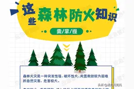 科普丨图说：天干物燥，这些森林防火知识要掌握图片