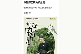 张翰疑似被“软封杀”？湖南卫视删除了他的镜头，一点也不护犊子图片