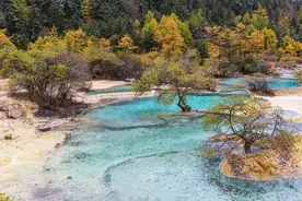 用最通俗的话 帮你彻底理解递延所得税资产和递延所得税负债图片