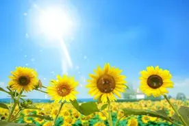 股骨颈骨折后的一些心得和体会图片