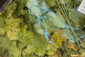 网友吐槽“叮咚买菜”便宜没好货，线下店买回的整包香菜又黄又蔫，门店回应：可能没仔细检查，可以申请退款图片