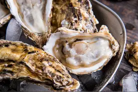 进口生蚝价格昂贵？来看看这些“物美价廉”的国产生蚝图片