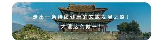 追“风”去大理
