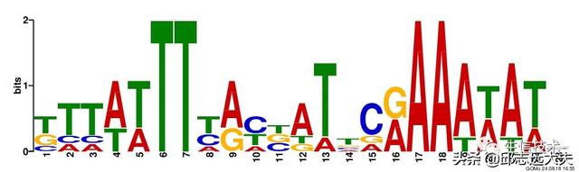 鍩哄簭(Motif)銆佷竴鑷存€у簭鍒椾笌瀵绘壘鍩哄簭鐨勭畻娉? onerror=