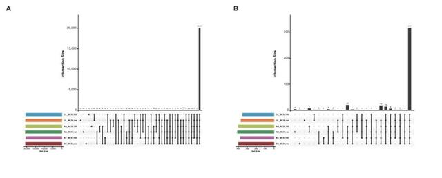 鐪熻繄鐢熺墿GenoLab M涓嶴entieon DNAscope鑱斿悎鎵撻€犻珮绮惧害鍙樺紓妫€娴嬫柟妗? onerror=