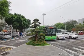 问政回音| 建议高峰期限制老人免费坐公共交通 官方：不限制图片