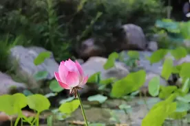 男女交往：通透面对感情之人，悟透了5句话图片