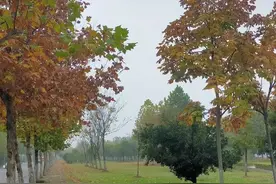 我的一生啊图片