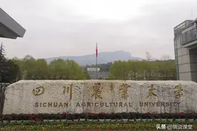 四川农业大学21年毕业生就业简况图片