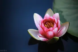 谍战一样的高中家长群图片