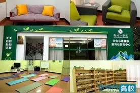 柳州工学院获评广西高校心理健康教育与咨询中心标准化A类建设单位图片