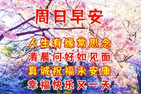 12月4日周日清晨祝福语，真诚祝福 健康永远图片