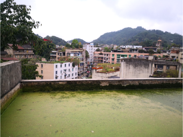 四川省民生研究会新媒体中心-官网