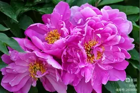 人生沉浮，归于心境，愿你修炼灵魂，完善自我图片