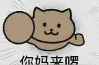 全家人可用向｜猫猫飞天人表情包图片