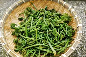 蕨菜被列为致癌物，吃了就会致癌？一个动作教你放心去吃，了解下图片