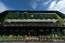 2023温网前瞻：草地网球的夏天图片