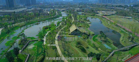 全国试点！成都！
