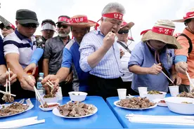 一年吃200万只狗、有世界最大狗肉市场，韩国为啥对吃狗情有独钟图片