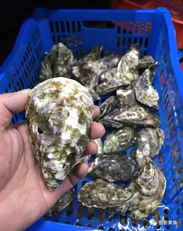 40头的花胶是几级 2025年花胶40头是什么意思?