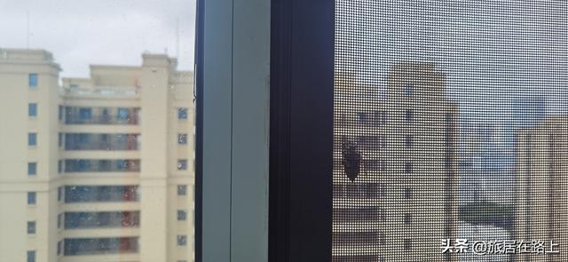 知了在声声叫着夏天，我们来蝉中说蝉，聊聊关于蝉的冷知识