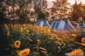 露营有门槛！想要安全又好玩，全川100+营地，这8家推荐给你图片