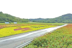 昔日寸草不生沙尘四起 如今绿树成荫硕果满枝图片