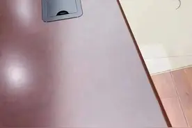 离谱！猫咪不会抓老鼠被告上法庭？图片