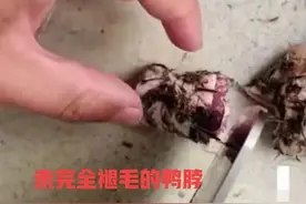 高校指鼠为鸭引热议，网友做老鼠头鸭脖，力证利齿为筋膜，你信吗图片