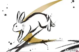 新的一年更爱自己：学习兔子习性 身心扬眉“兔”气图片