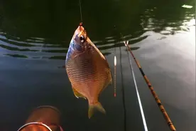 夏季垂钓，要看“天”，抓住这些天气，不管什么水面都能“爆护”图片