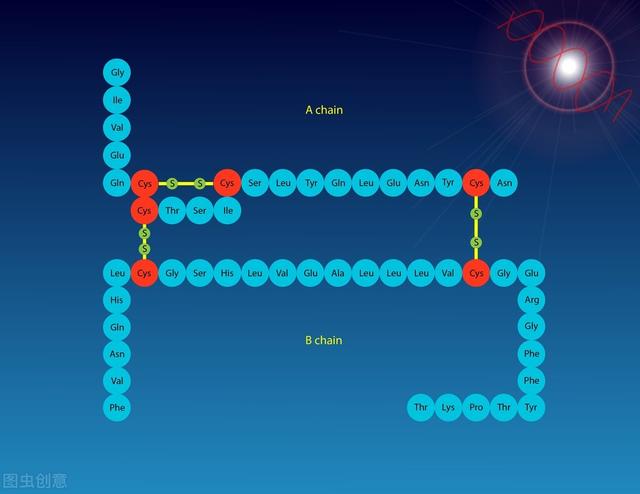氨基酸的前世今生