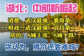 湖北2月报：武汉最强，宜昌第二，咸宁爱消费，黄石空，8城房价跌图片