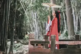 古今传奇才女录：纵才情横溢，亦叹息容颜多薄命图片