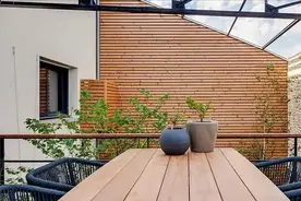 国学：五十岁的人，就别总折腾了图片