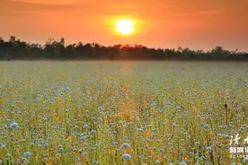 10条关于友谊的朋友圈文案，快来收藏图片