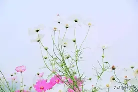 经常和你联系的人，突然不再来往了，逃不过这三个原因图片