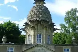 国王的头上为什么有个菠萝-吉吉国王图片