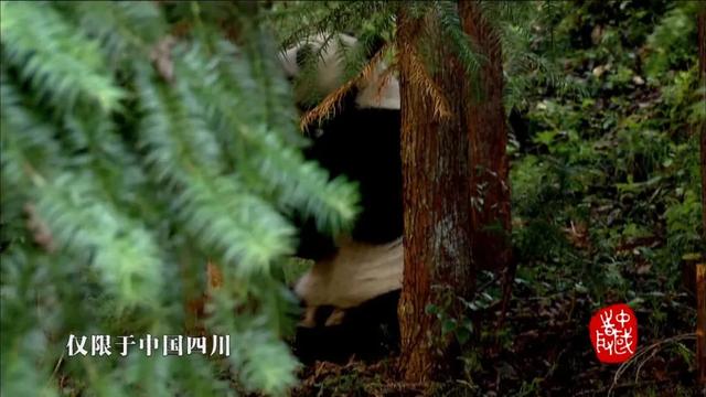 别刷短视频了！爱奇艺纪录片5大上新速递，这波安利必须吃~