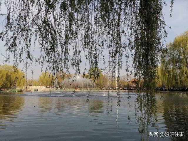 汾阳往事｜殷维明：杏花村游记——汾酒工业园林赏杏花